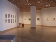 Visual Dialogues, Riffe Gallery Columbus 2009, Foto Nicolas Hill