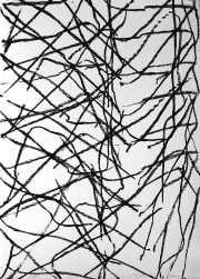 Algraphie, 2010, 70 x 50 cm