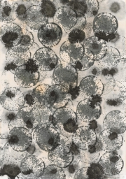 Rübe 11.3.17 II, Öl, Acryl, Tusche auf Papier, 62,8 x 43,8 cm