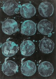 Rübe 24.1.17 VII,  Acryl, Tusche, Öl auf Papier, 29,6 x 20,9 cm