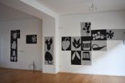 SCHNITT/BLUMEN, Oschatzer Str.7, Dresden, 2021/22, Foto Thomas Baumhekel